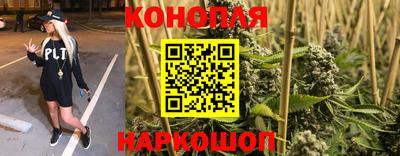гашик Свободный