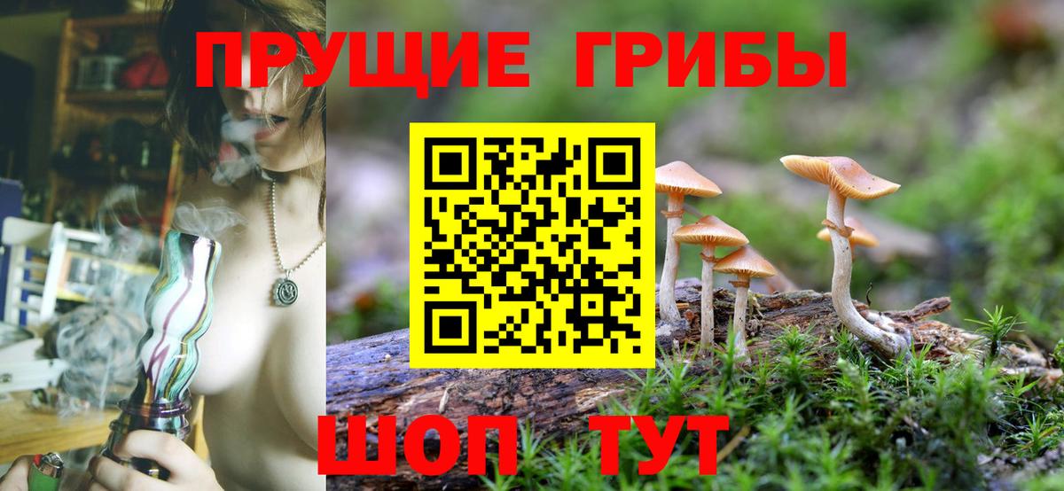 Псилоцибиновые грибы GOLDEN TEACHER  Галлюциногенные грибы MAGIC MUSHROOMS  Орехово-Зуево  как найти закладки  Вход с VPN 